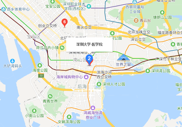 深圳大學(xué)醫(yī)學(xué)院地址在哪里