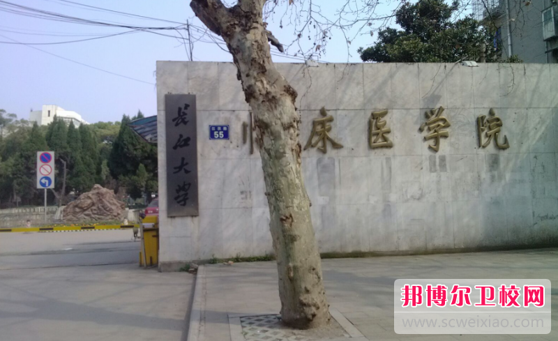 2023長江大學(xué)醫(yī)學(xué)院有哪些專業(yè) 長江大學(xué)醫(yī)學(xué)院開設(shè)的專業(yè)一覽表